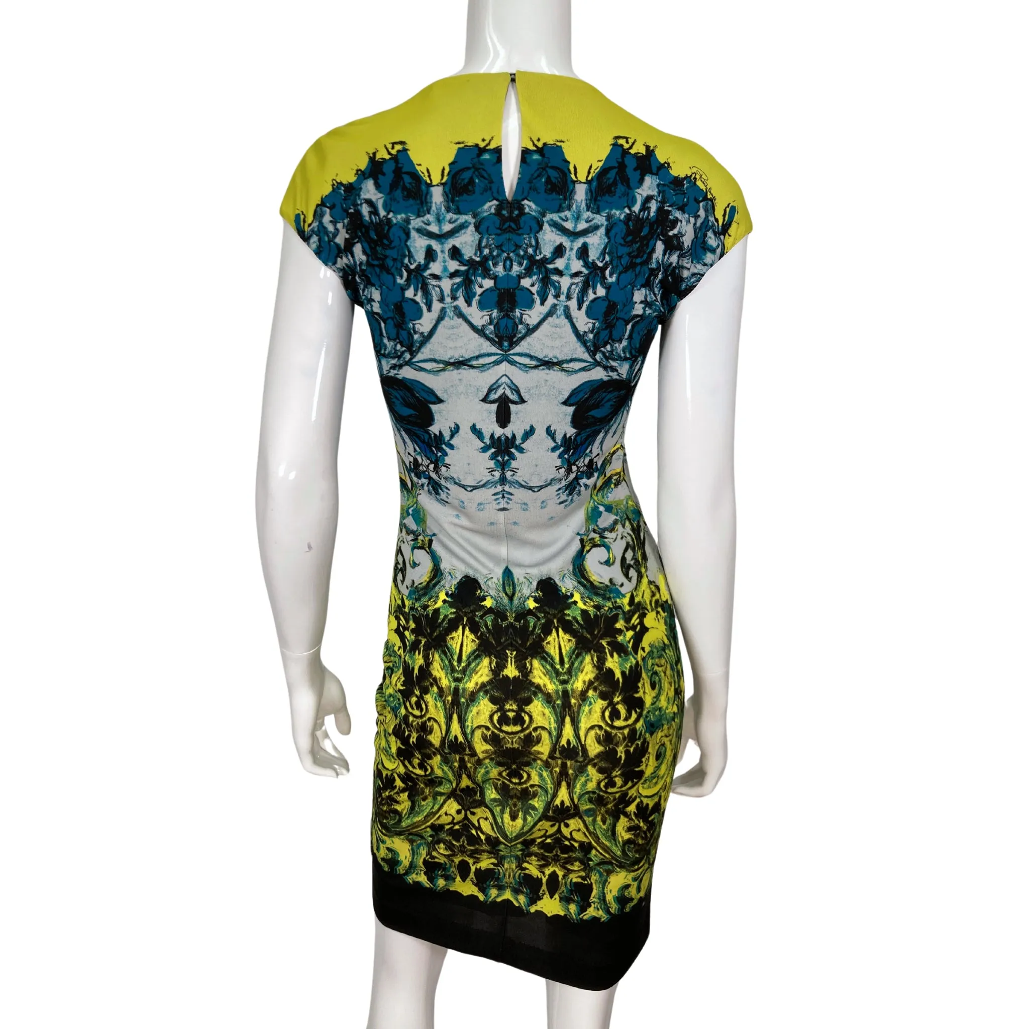 Roberto Cavalli Psychedelic Dress